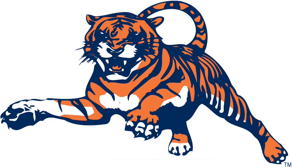 Auburn Tigers 1982-1997 Alternate Logo diy fabric transfer